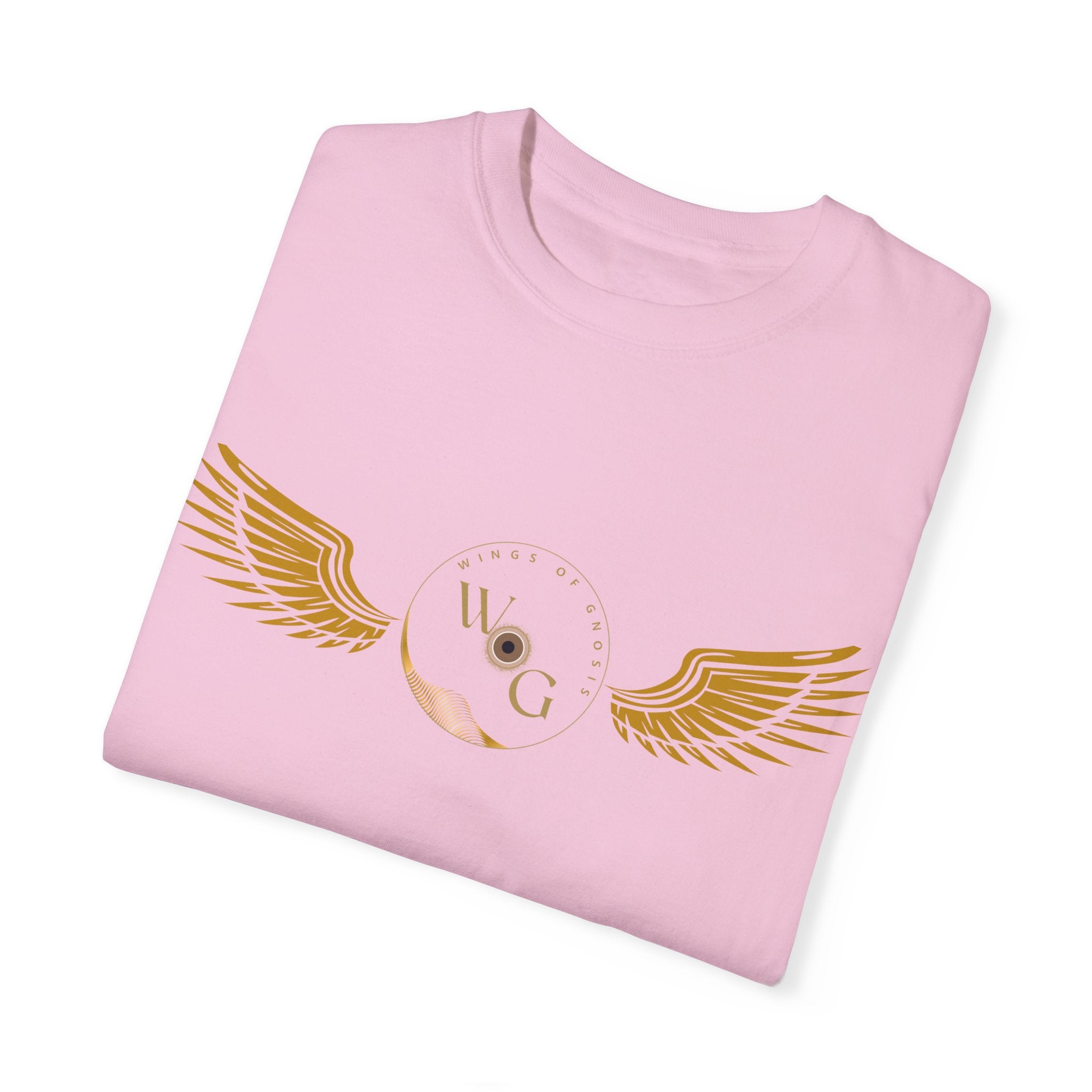 Unisex Graphic T-Shirt - 'Intent vs Ignorance'