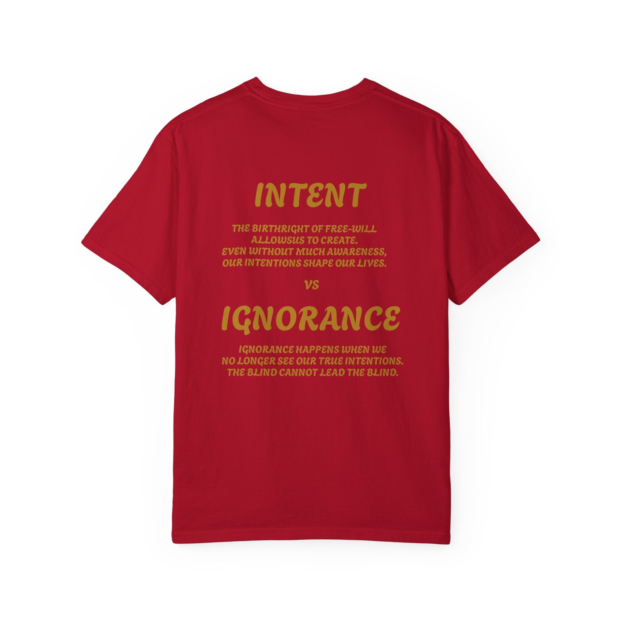 Unisex Graphic T-Shirt - 'Intent vs Ignorance'